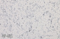 选择PVC直铺防静电地板厂家是你不后悔的决定